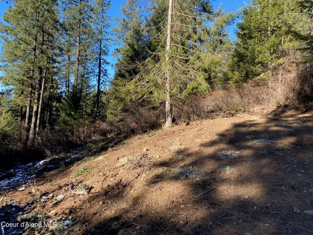 $109,000 | Nka South Edgewater Drive, Harrison, ID 83833