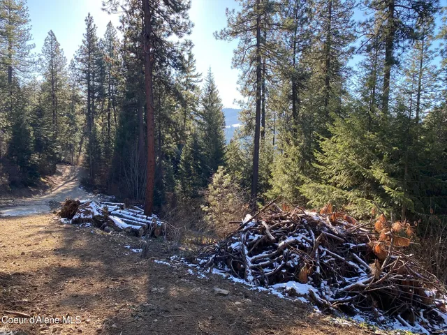 $109,000 | Nka South Edgewater Drive, Harrison, ID 83833