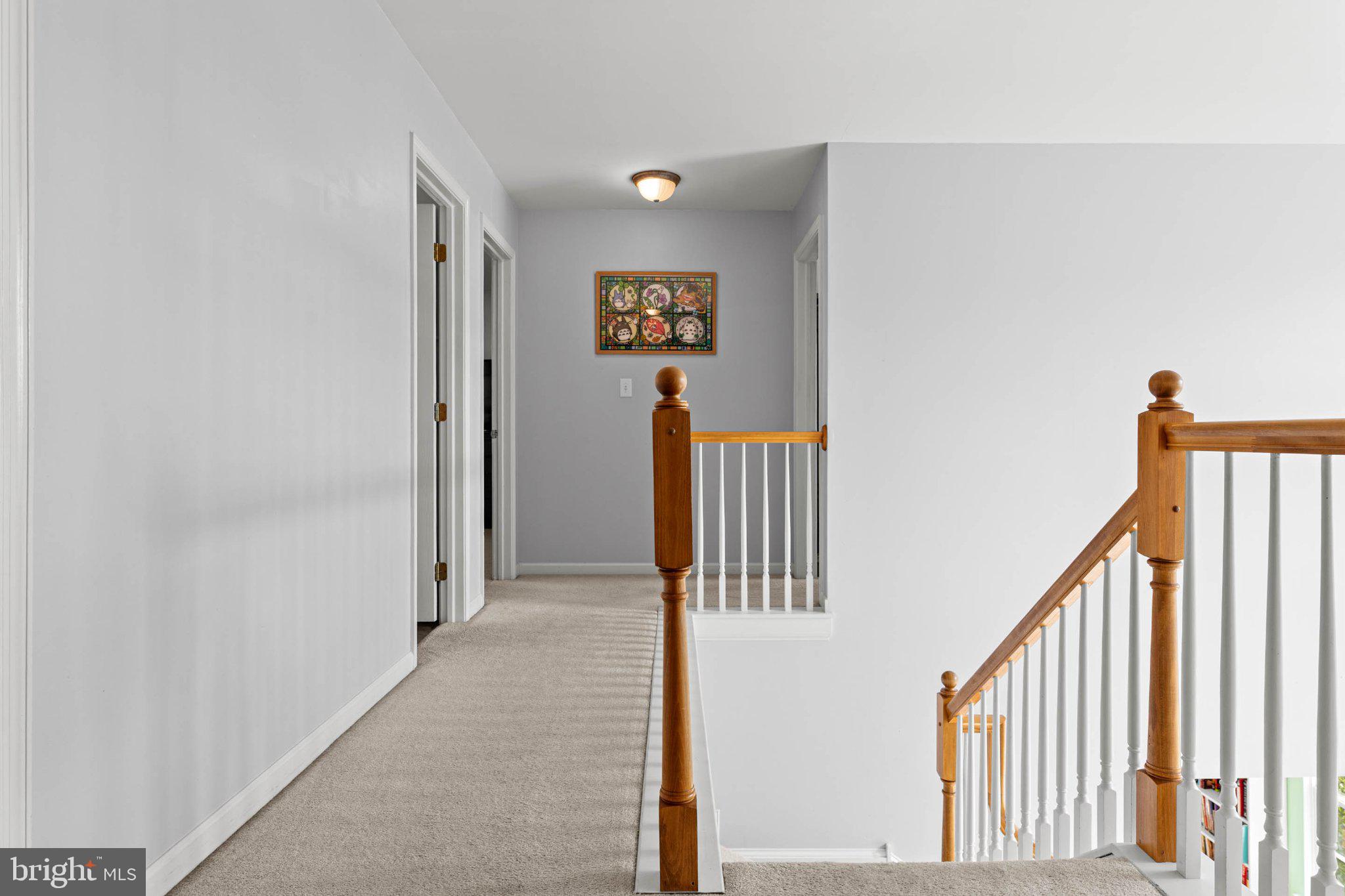 205 Clearview Drive Sinking Spring, PA 19608 - Photo 31 of 53 Gallery Image 31