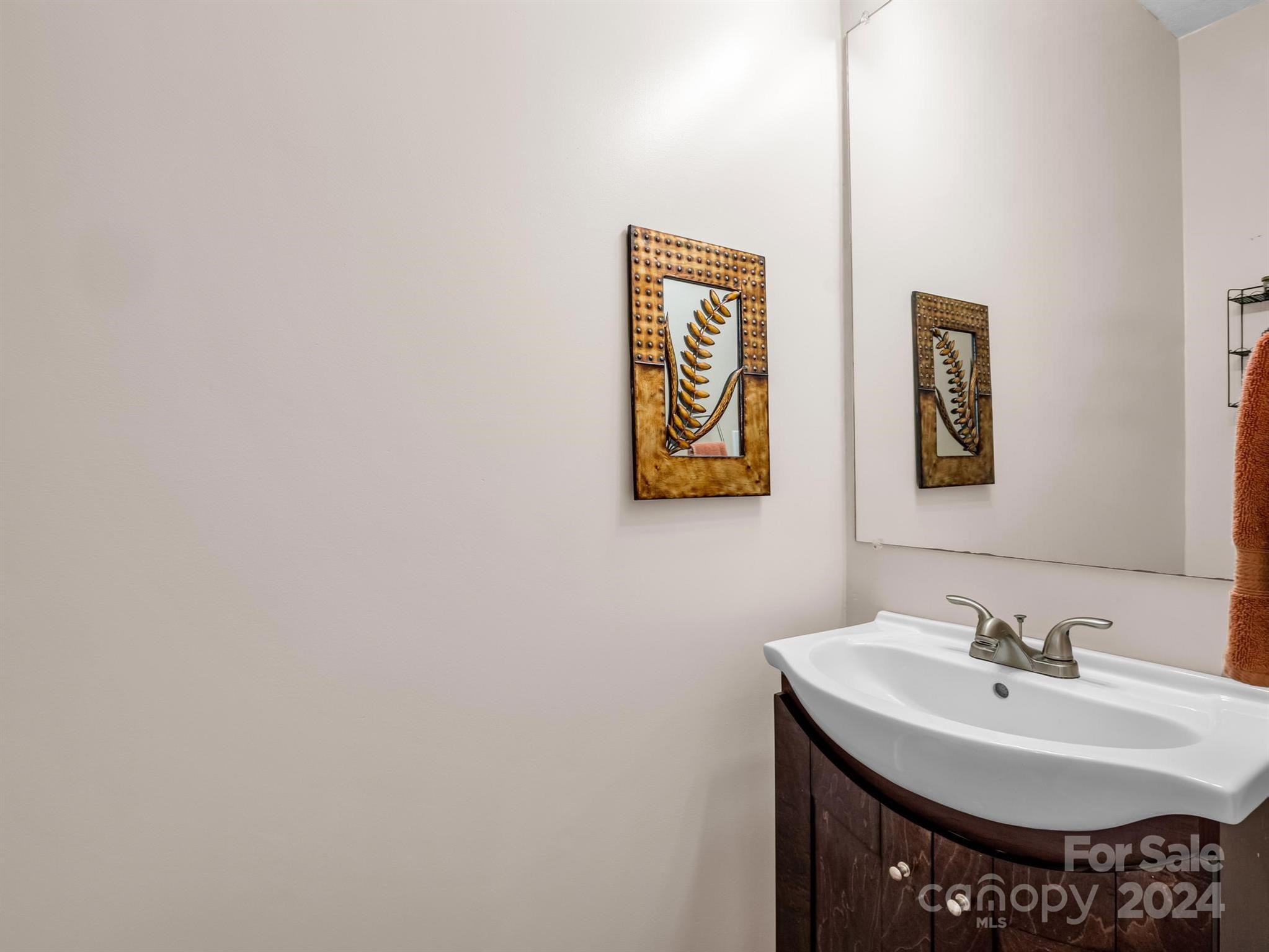 284 West T Wilkins Road Rutherfordton, NC 28139 - Photo 14 of 44 a bathroom with a sink and a mirror