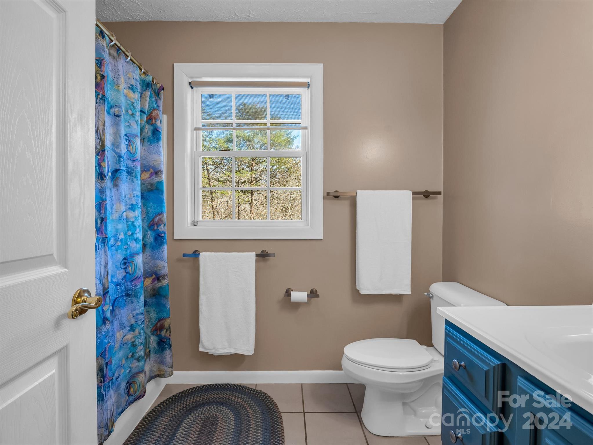 284 West T Wilkins Road Rutherfordton, NC 28139 - Photo 25 of 44 a white toilet sitting next to a bathroom sink and tub