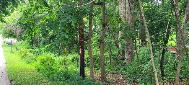 $109,000 | Lt10551 Tamarack Road, Unit 10558, Geneva, WI 53147