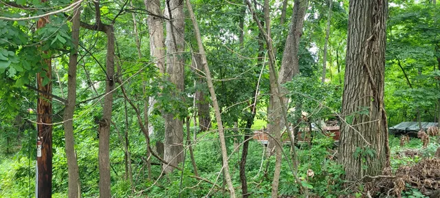 $109,000 | Lt10551 Tamarack Road, Unit 10558, Geneva, WI 53147