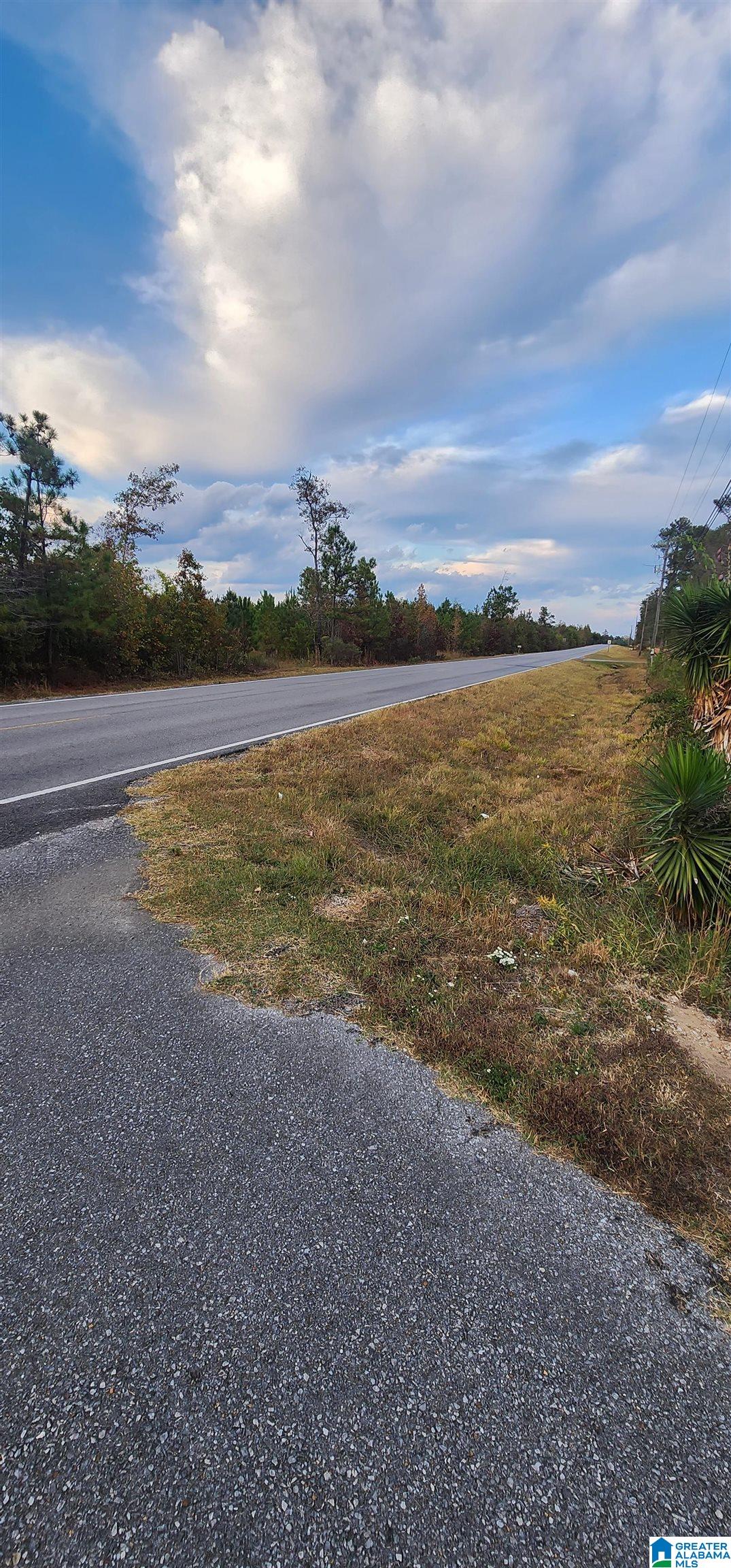 3651 Steele Station Road Rainbow City, AL 35906 - Photo 51 of 63