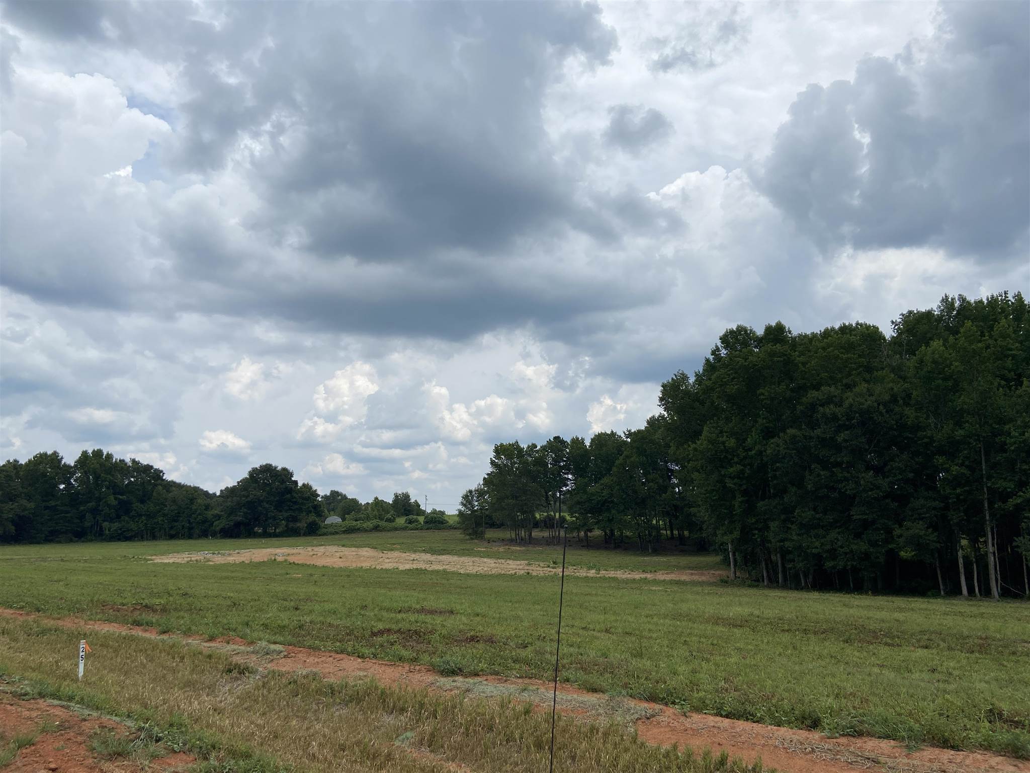 Lot 2-196 Emory Road Cowpens, SC 29330 - Photo 2 of 5
