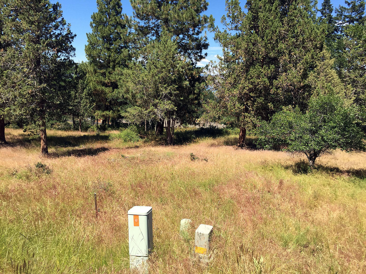 883 Cooper's Hawk Road Klamath Falls, OR 97601 - Photo 4 of 7 Lot 883Coopers-04