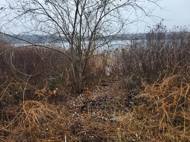 $279,900 | 952 54th Street, Pullman, MI 49450