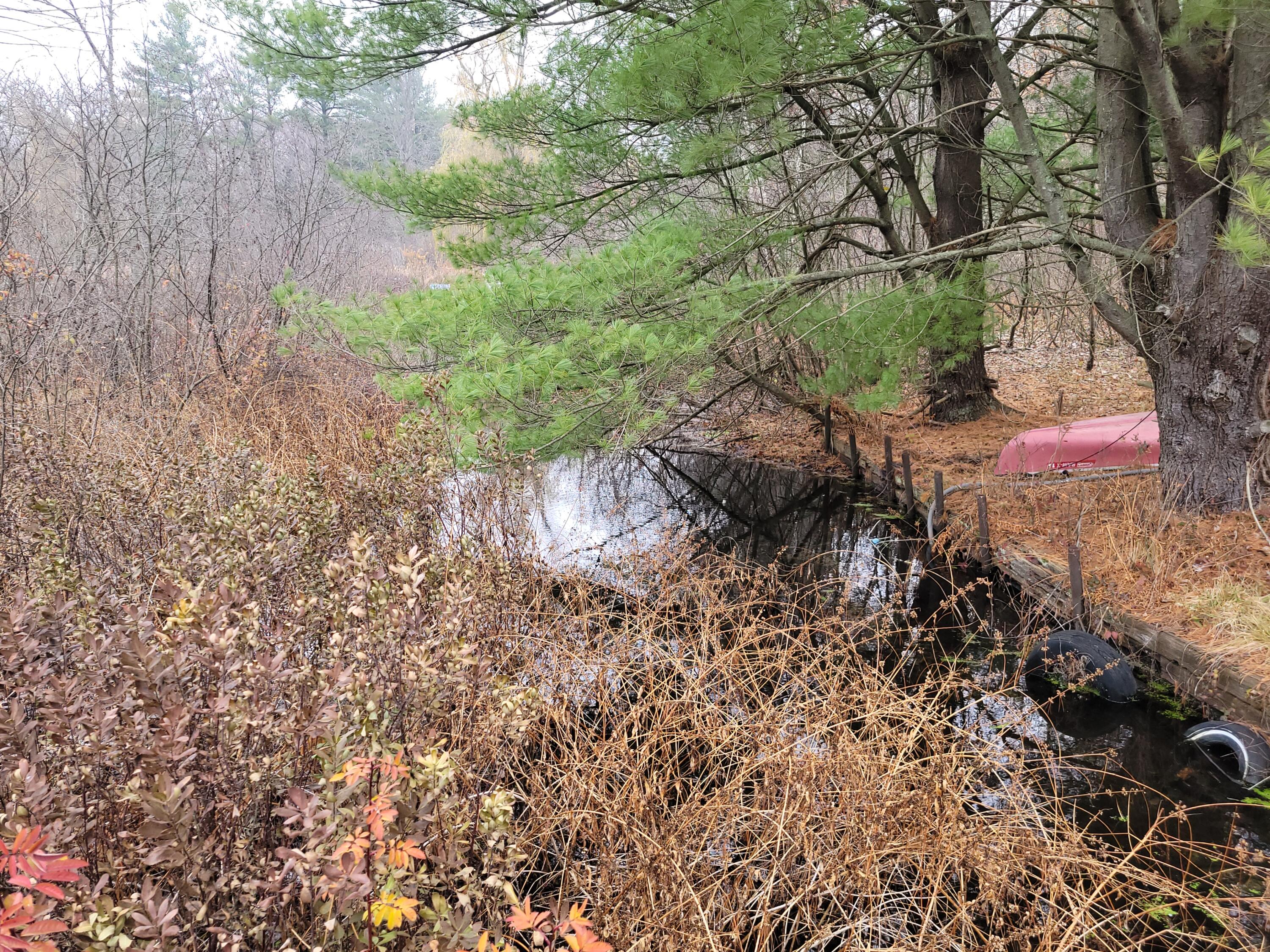 952 54th Street Pullman, MI 49450 - Photo 8 of 26 20251120_125643