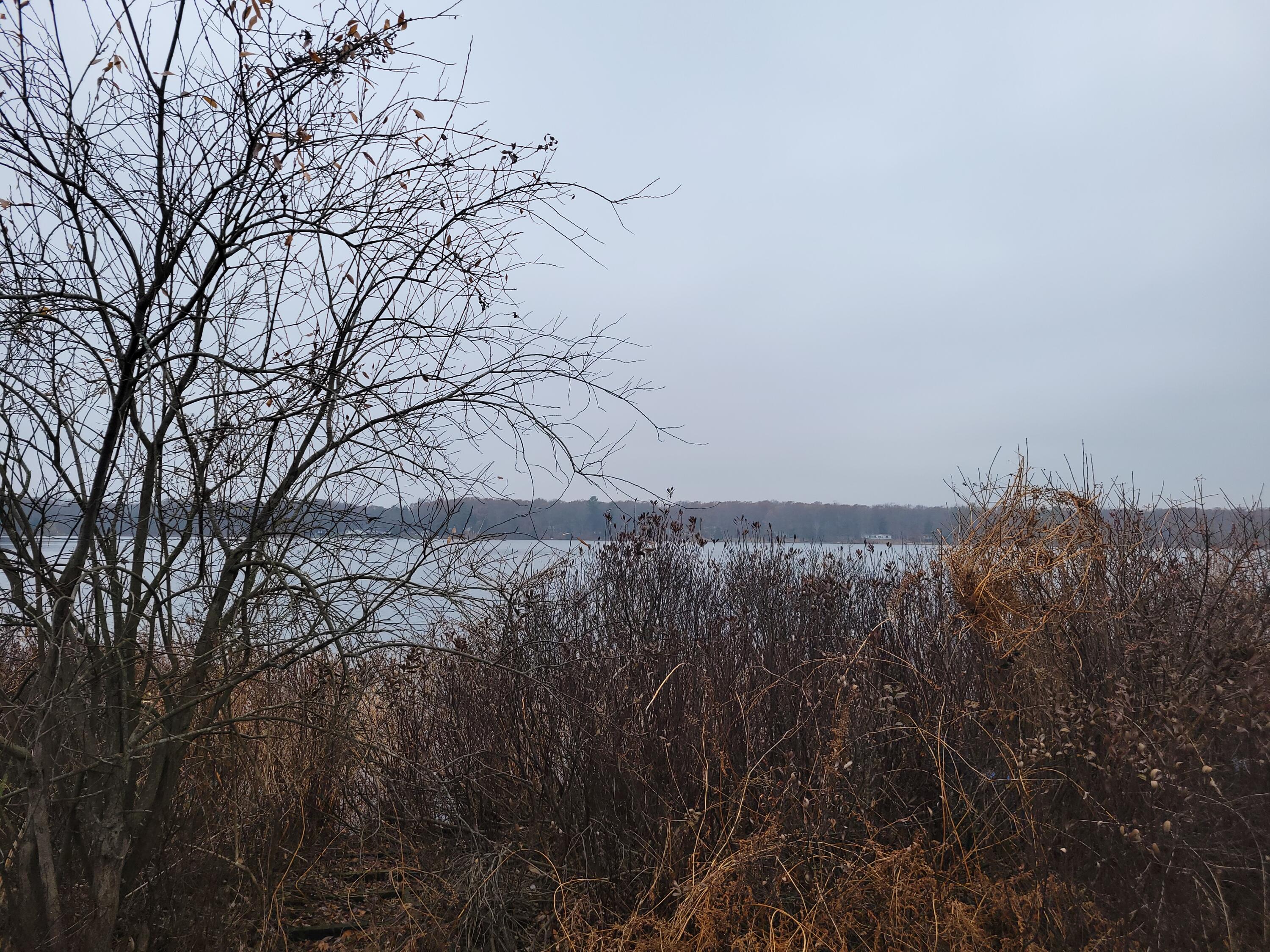 952 54th Street Pullman, MI 49450 - Photo 10 of 26 20251120_130001