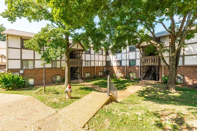 a backyard of a house with palm trees