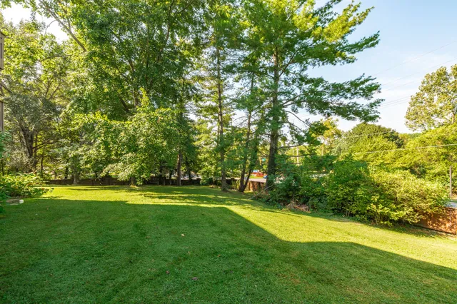 a view of a big yard with swimming pool