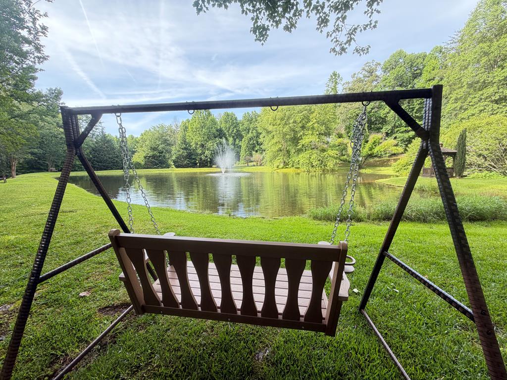 81 Sundance Ridge Epworth, GA 30541 - Photo 102 of 102 Swing on Lake Shoreline