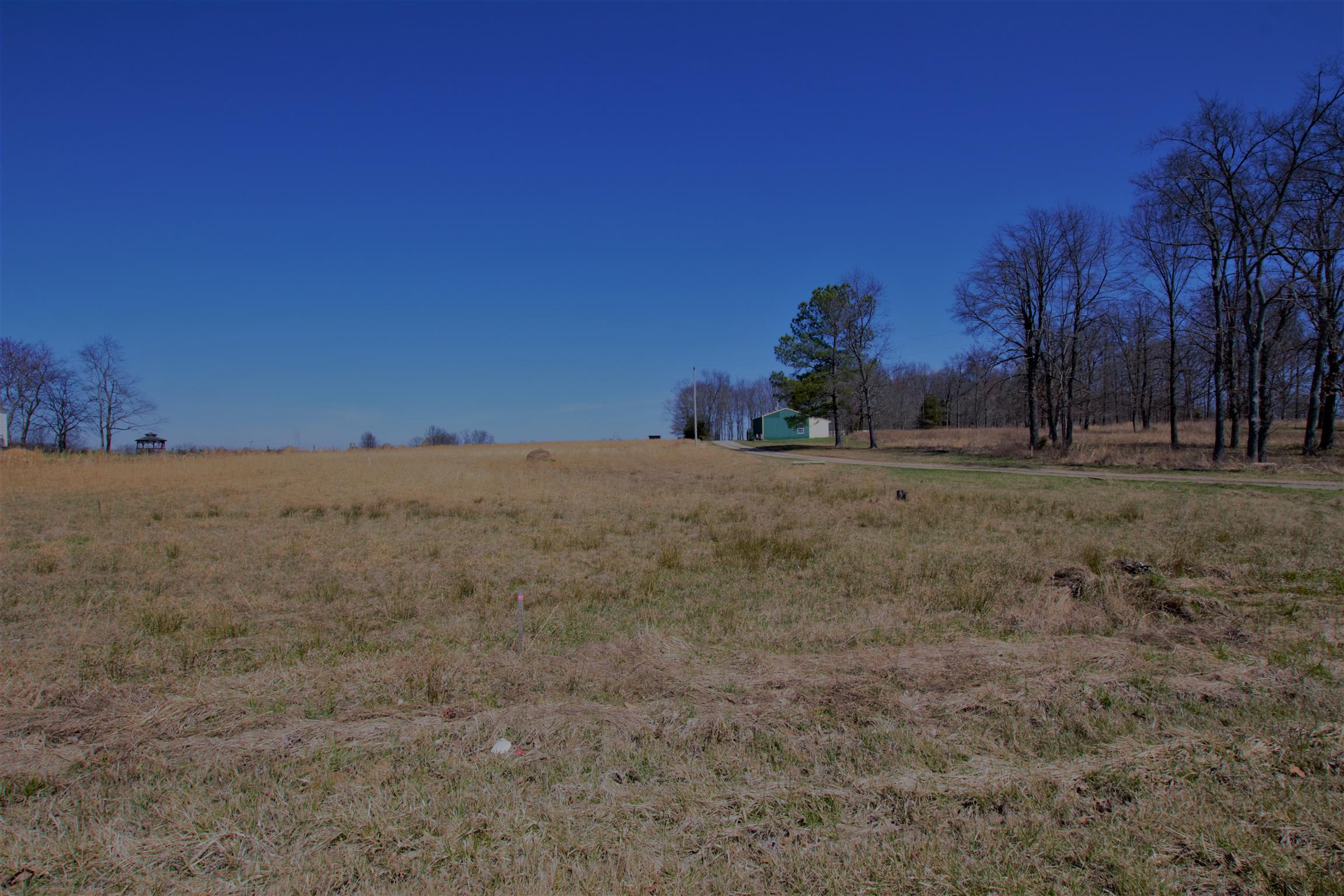 128 Corinth Road Portland, TN 37148 - Photo 4 of 14 a view of dirt field with trees in background