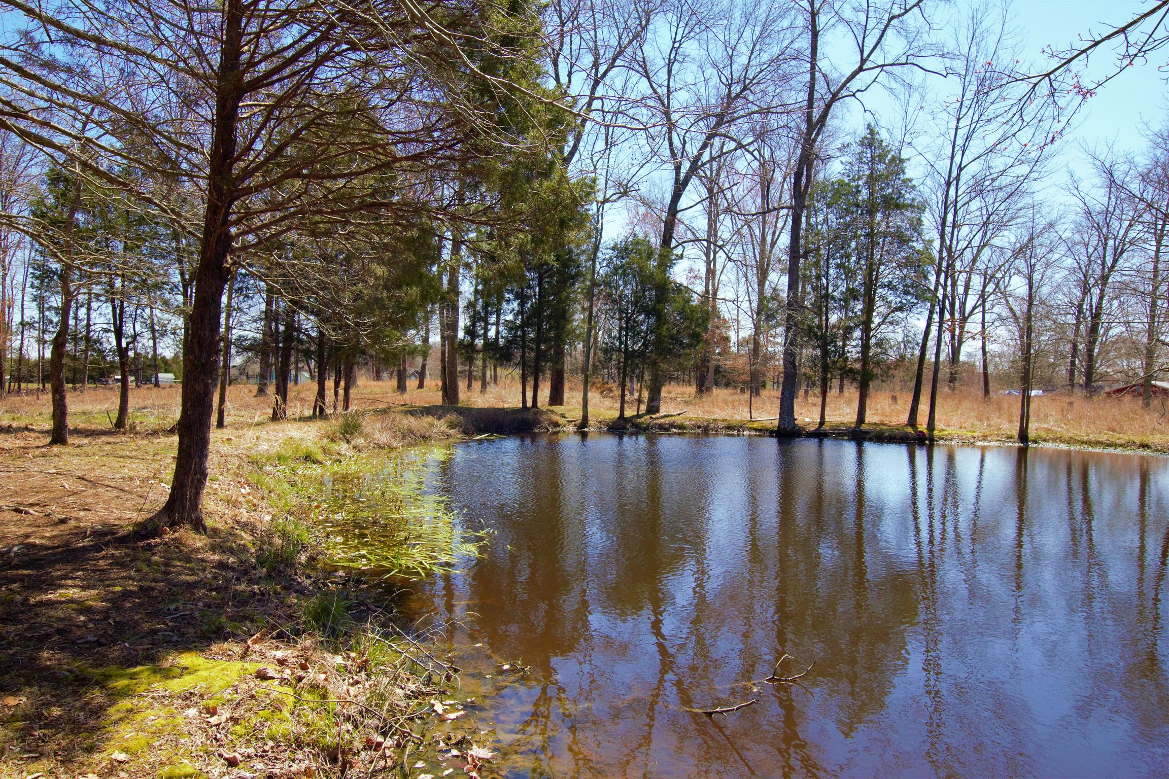 128 Corinth Road Portland, TN 37148 - Photo 7 of 14 a view of swimming pool with trees
