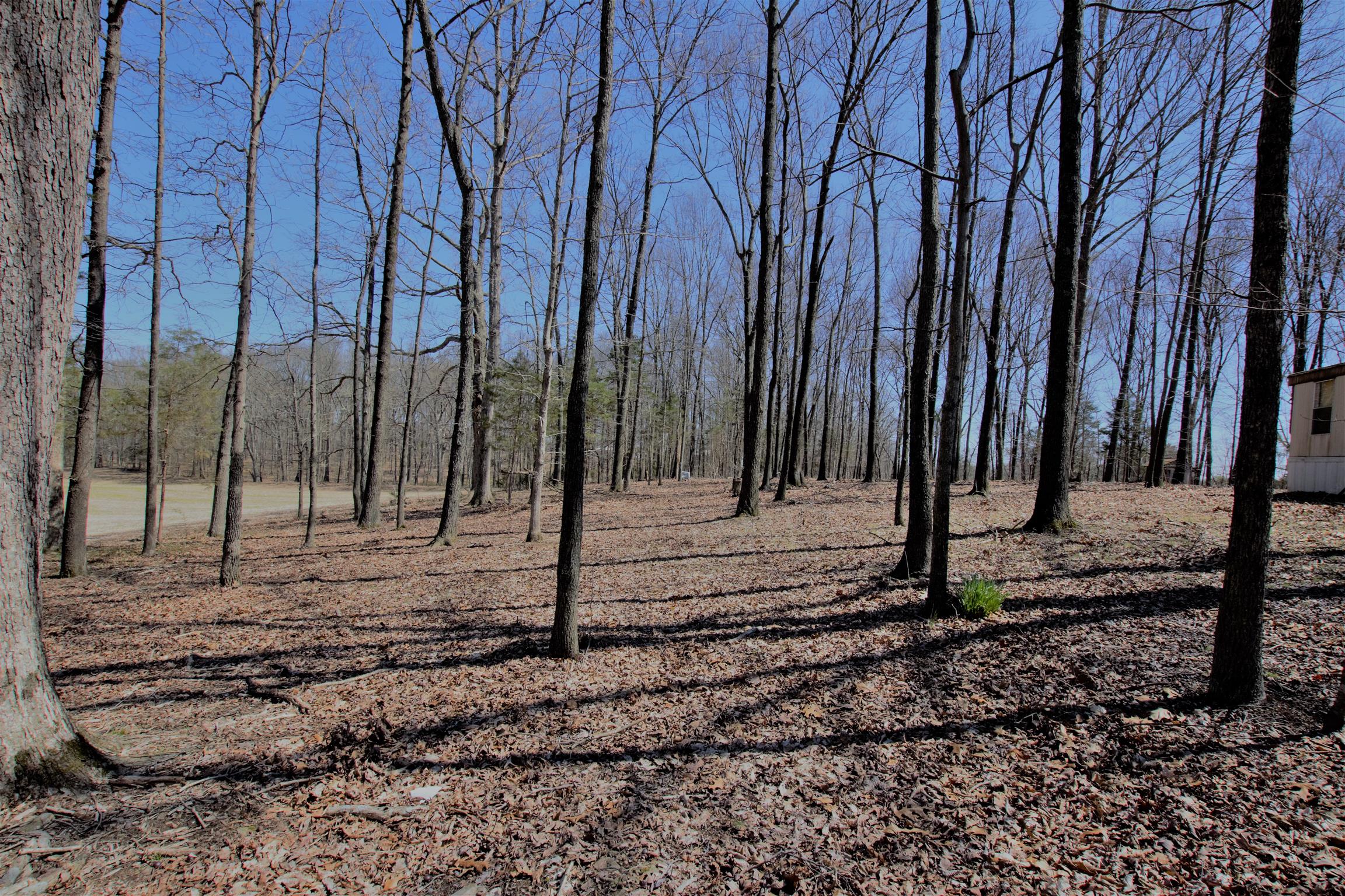 128 Corinth Road Portland, TN 37148 - Photo 8 of 14 a view of a backyard