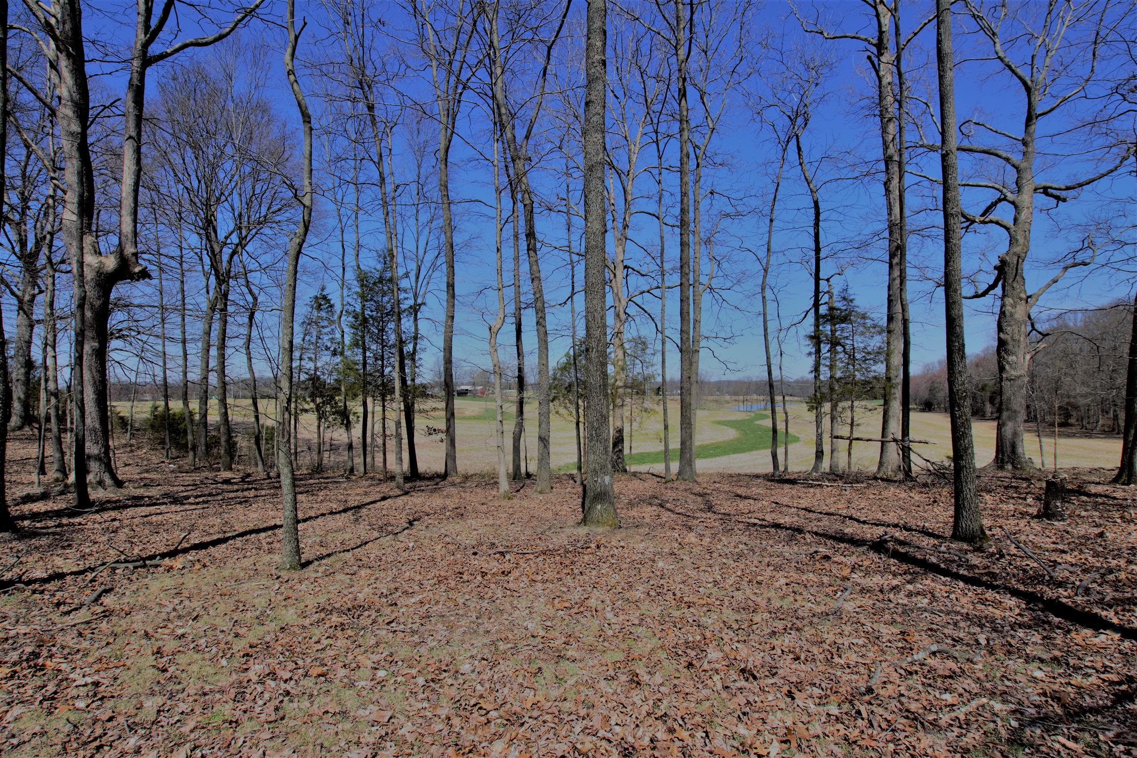 128 Corinth Road Portland, TN 37148 - Photo 9 of 14 a view of a park