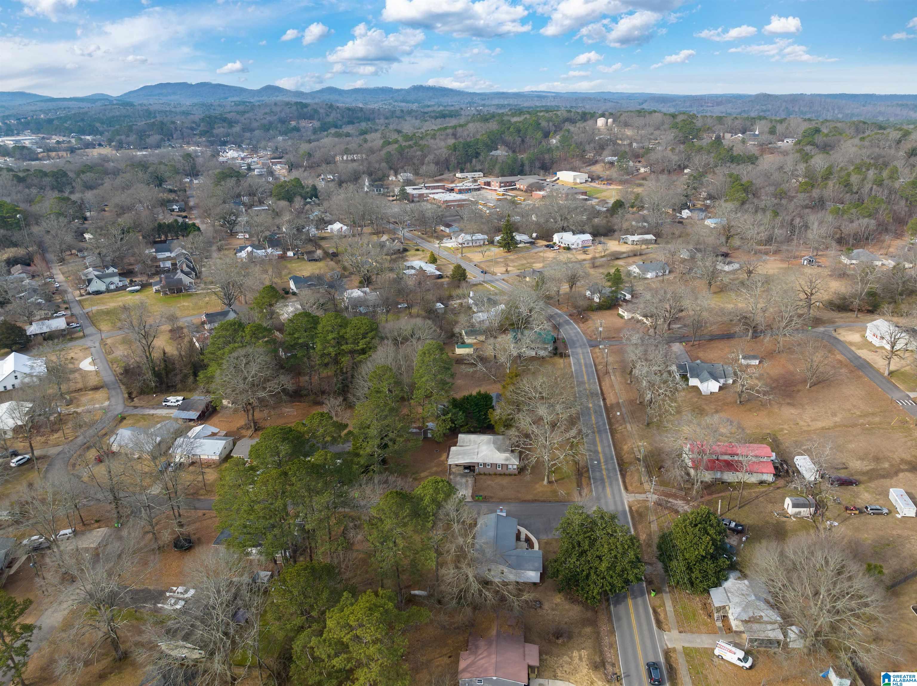 21 Bruce Street Springville, AL 35146 - Photo 34 of 43