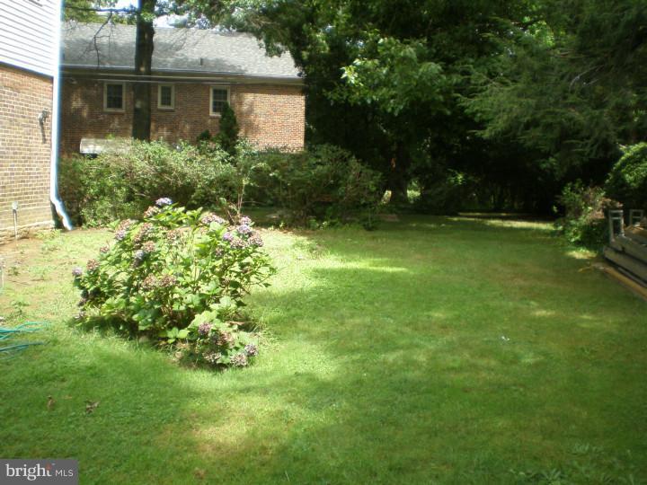 7817 Gayle Road Cheltenham, PA 19012 - Photo 18 of 18 Back Yard
