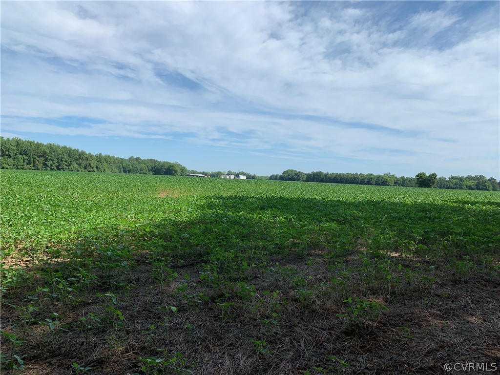 Lot 2 Webb Road Disputanta, VA 23842 - Photo 8 of 12 Gallery Image 8