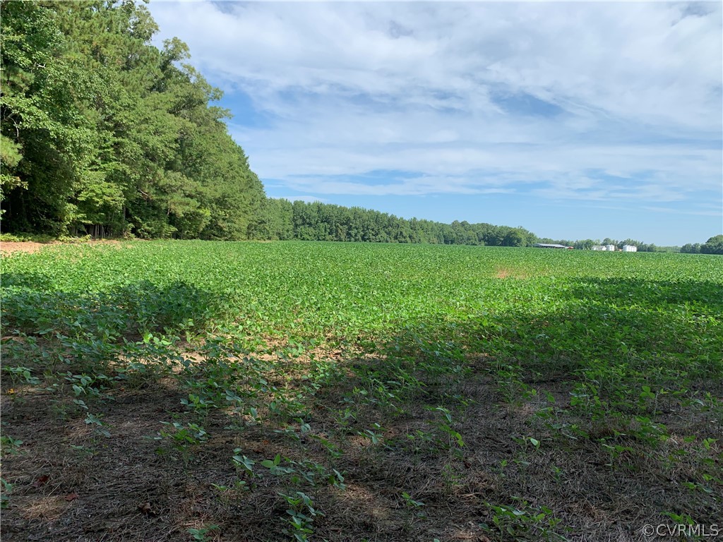Lot 2 Webb Road Disputanta, VA 23842 - Photo 9 of 12 Gallery Image 9