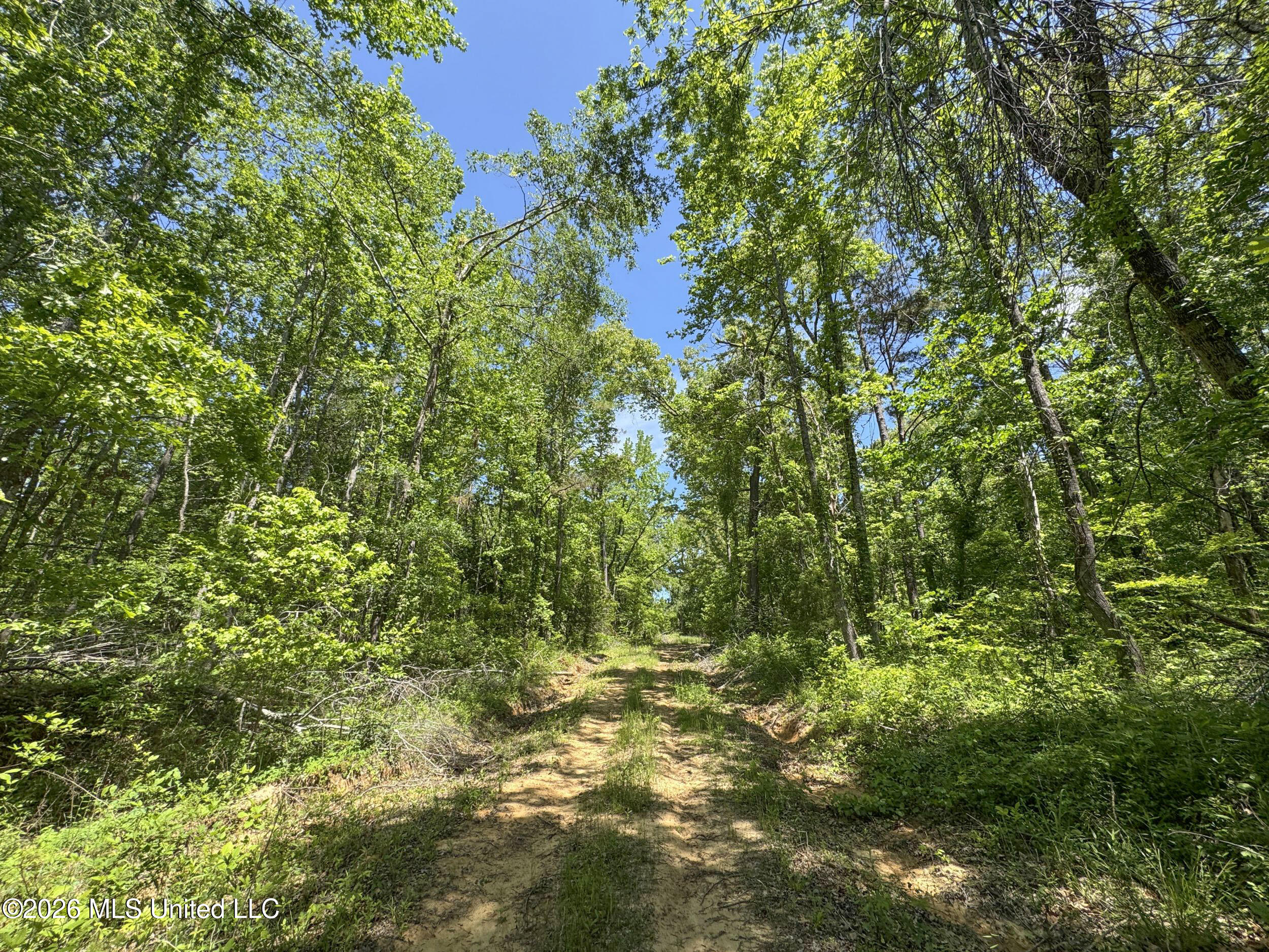 Chinqupin Road Lexington, MS 39095 - Photo 168 of 210 8chqpn31
