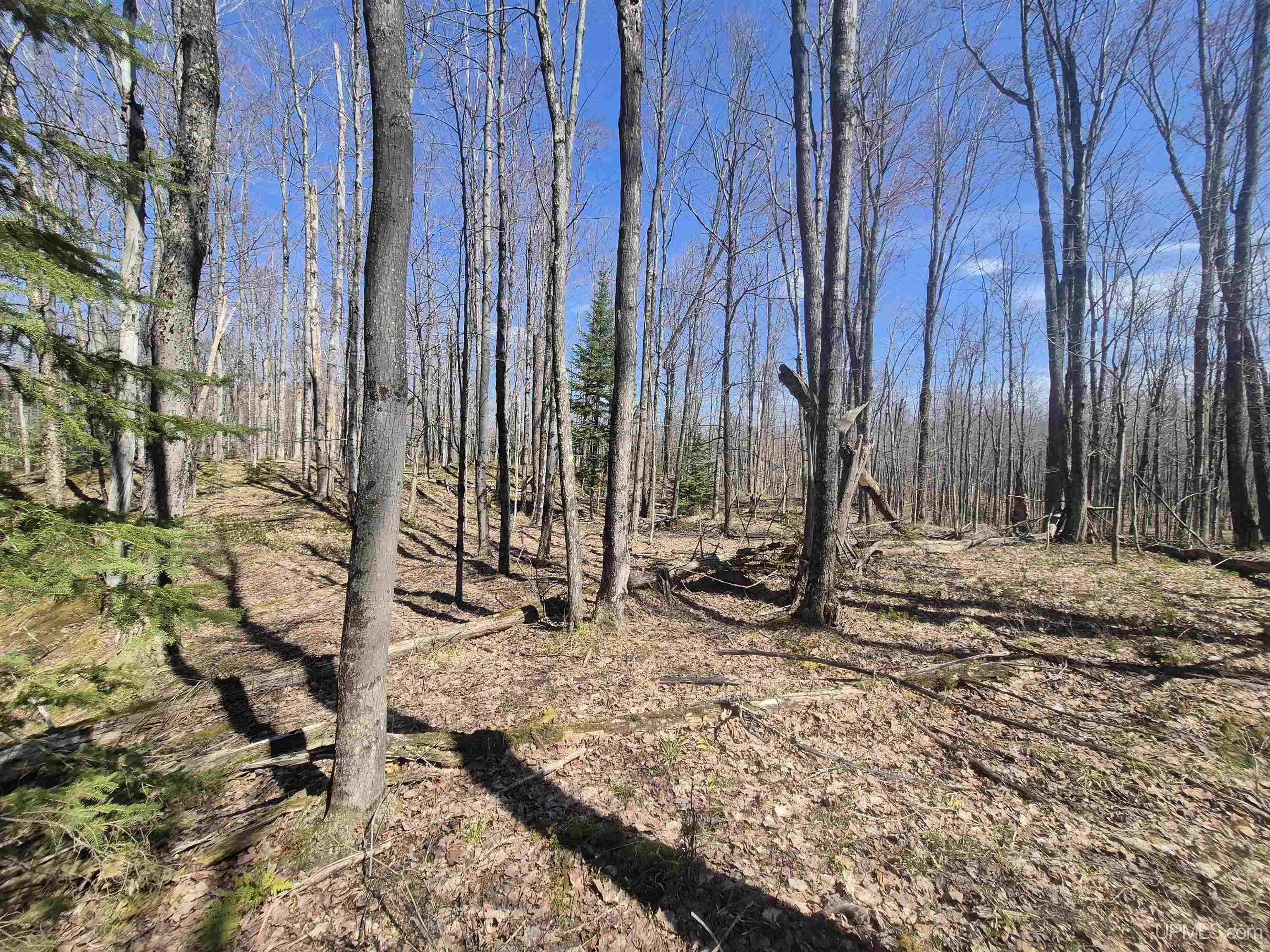 12-acres Salmon Road L'Anse, MI 49946 - Photo 19 of 39