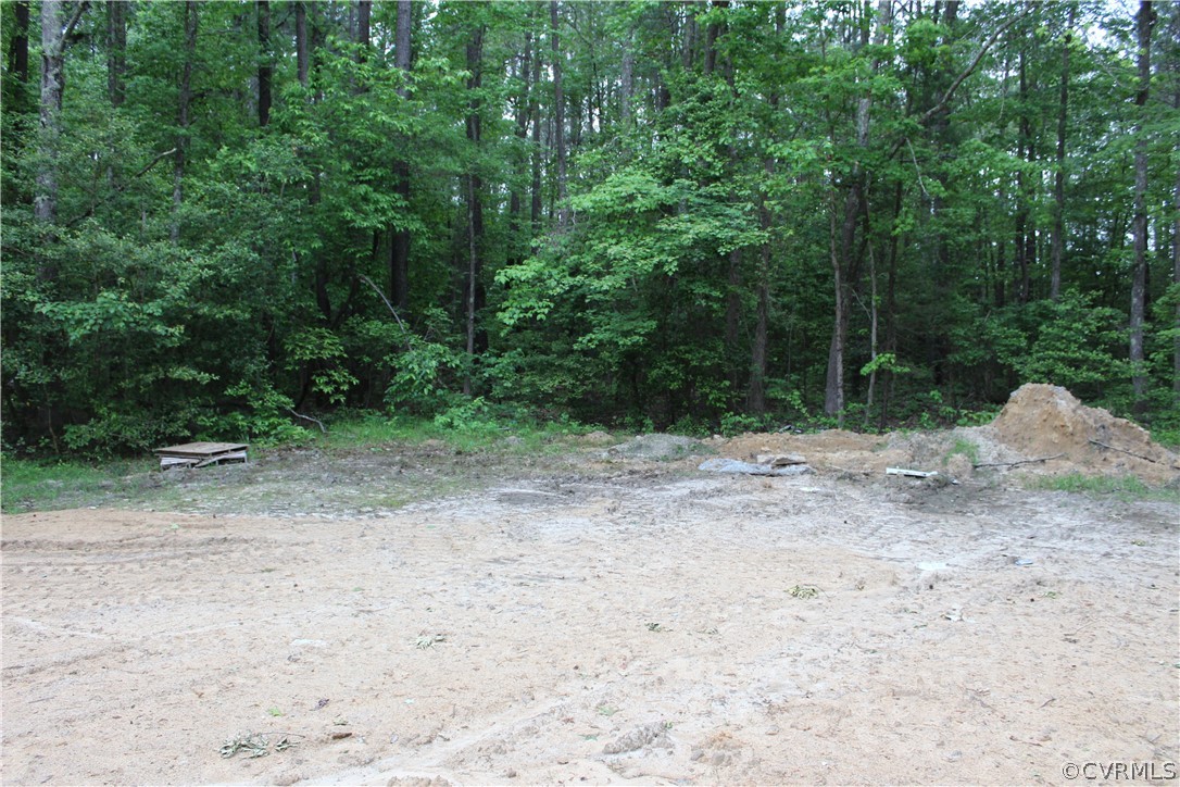 530 Wyatts Mill Road Jarratt, VA 23867 - Photo 20 of 22 Gallery Image 20