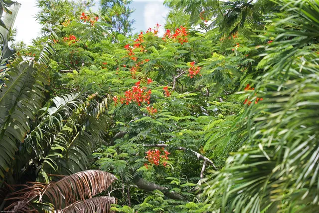 $1,680,000 | 16 Ridgeview Road North, Sewall's Point, FL 34996