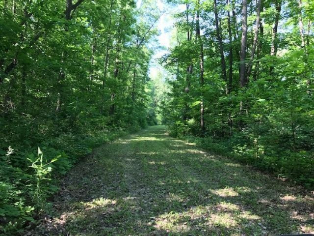 0 Cloverdale Road Delton, MI 49046 - Photo 2 of 9 20170607154705208752000000-o