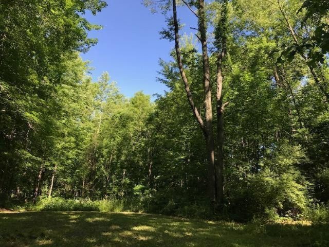 0 Cloverdale Road Delton, MI 49046 - Photo 3 of 9 20170607154702705704000000-o