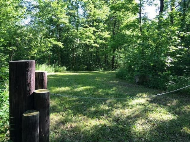 0 Cloverdale Road Delton, MI 49046 - Photo 6 of 9 20170607154638095948000000-o