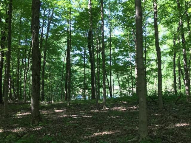 0 Cloverdale Road Delton, MI 49046 - Photo 8 of 9 20170607154701553747000000-o