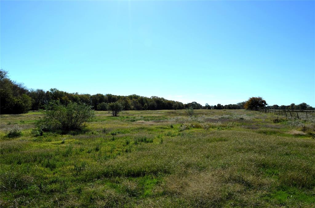 5 Fm 3080 Mabank, TX 75147 - Photo 18 of 23 a view of a lush green space