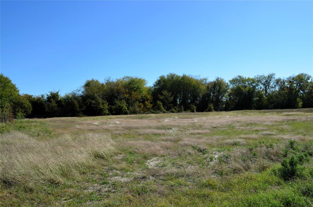 5 Fm 3080 Mabank, TX 75147 - Photo 19 of 23 a view of a field with trees in the background