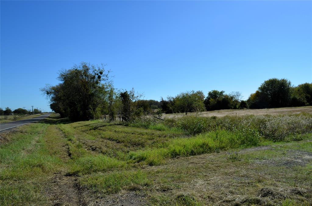 5 Fm 3080 Mabank, TX 75147 - Photo 21 of 23 a big yard with lots of green space and deers