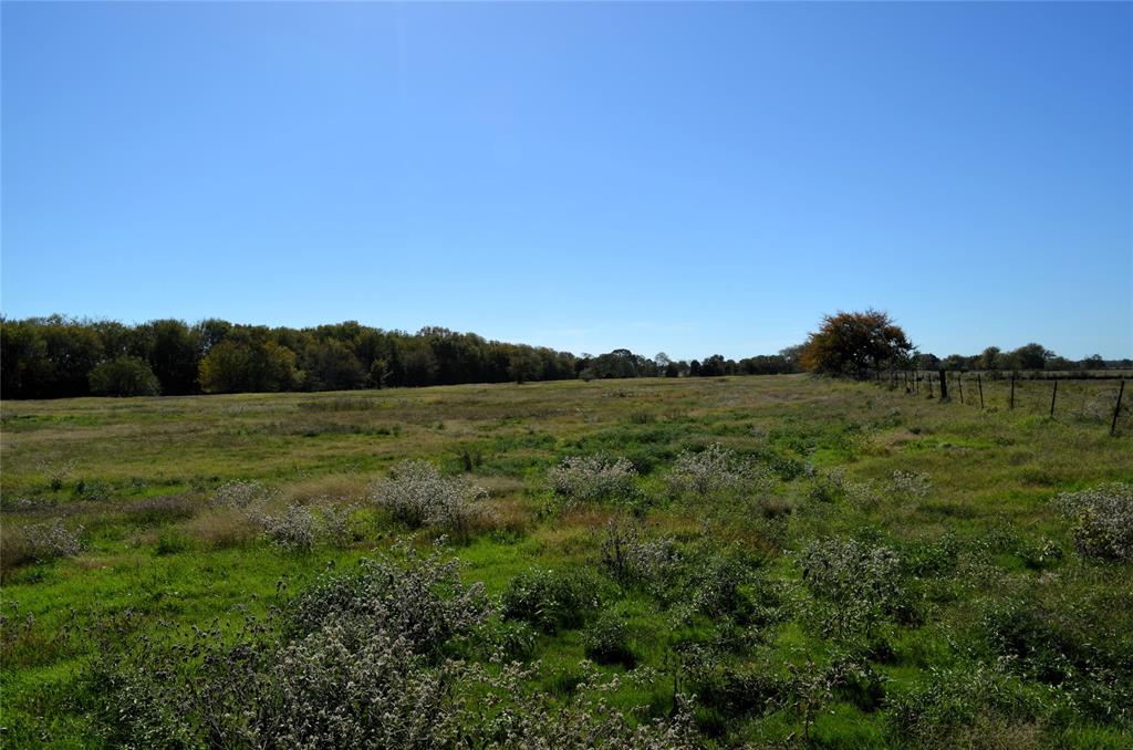 5 Fm 3080 Mabank, TX 75147 - Photo 22 of 23 a view of a field of grass and mountain