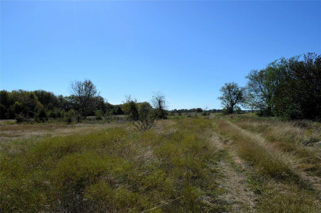 5 Fm 3080 Mabank, TX 75147 - Photo 3 of 23 a view of field with trees in background
