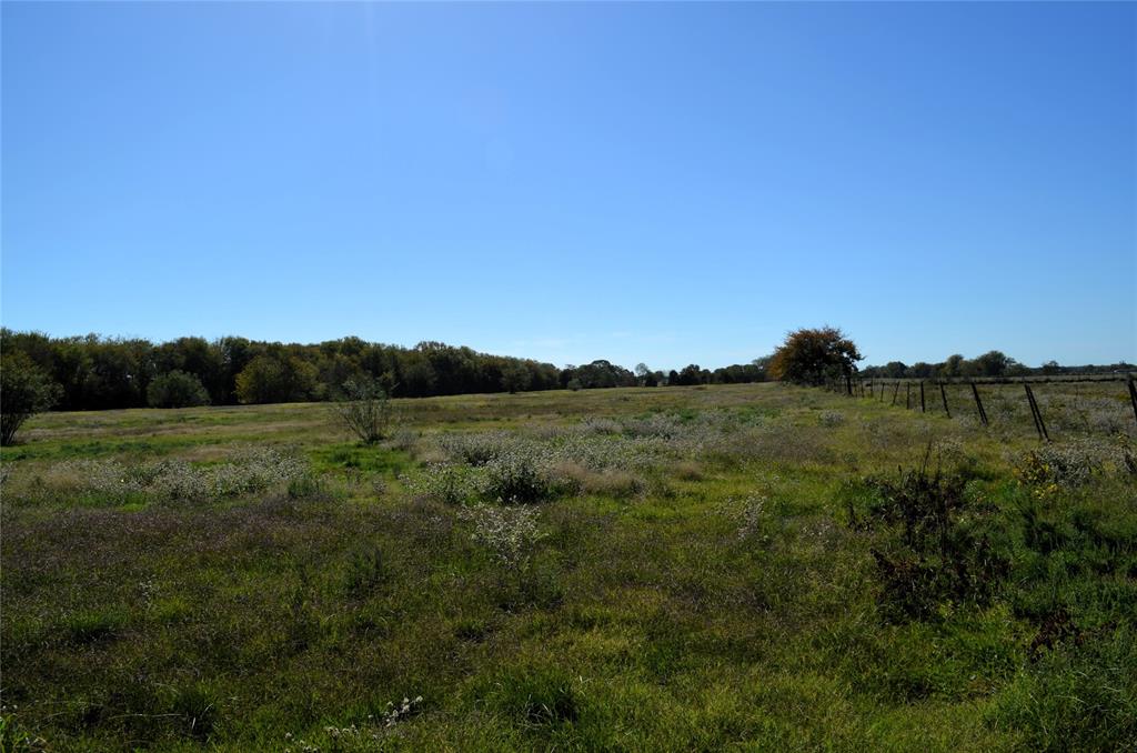 5 Fm 3080 Mabank, TX 75147 - Photo 9 of 23 a view of a lush green space with sea