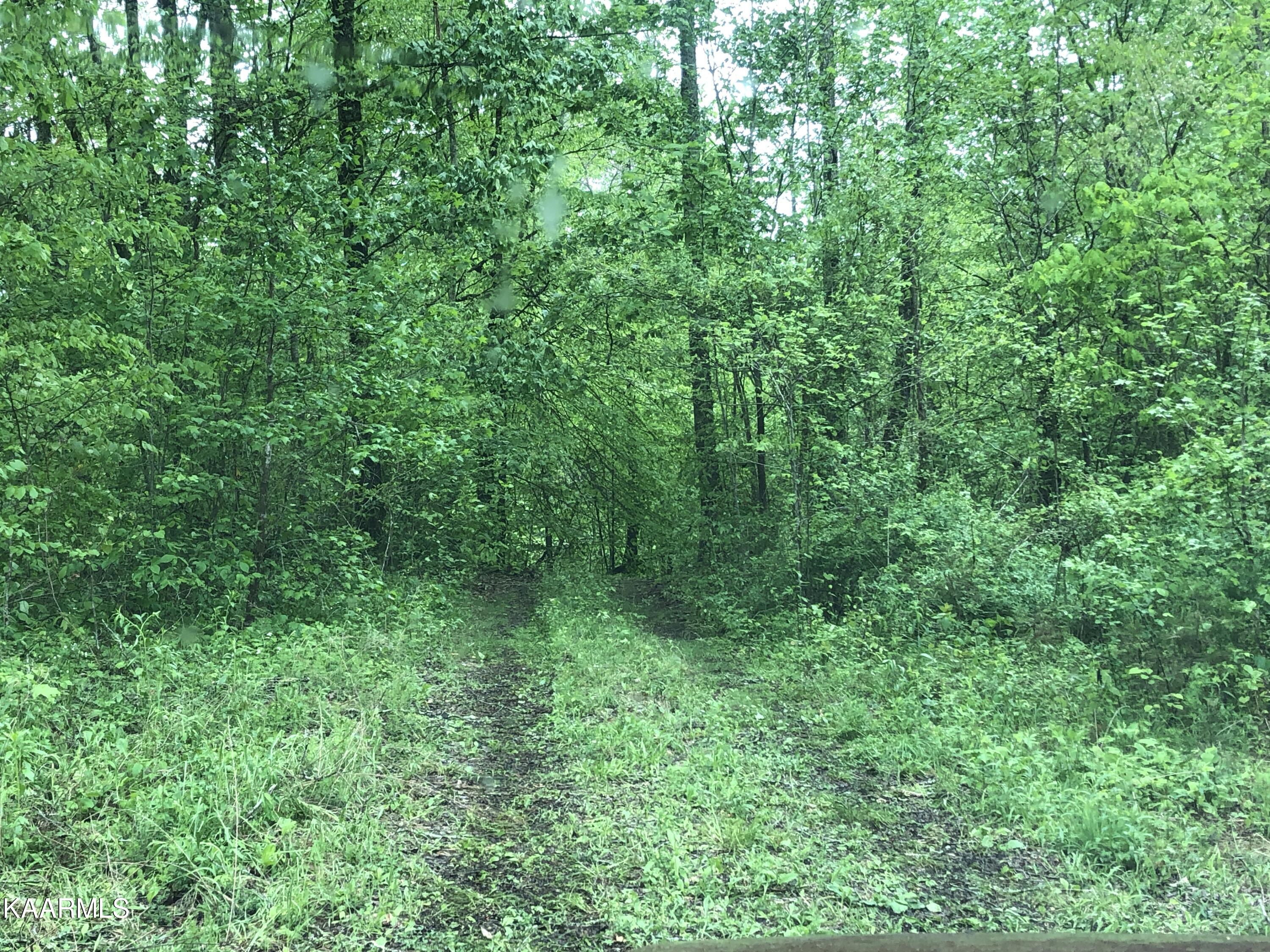 Upper Crab Road Jamestown, TN 38556 - Photo 13 of 18 IMG_6144