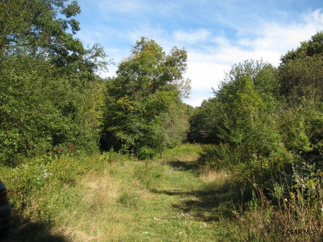 Hexie Road Markleton, PA 15551 - Photo 1 of 1 Gallery Image 1