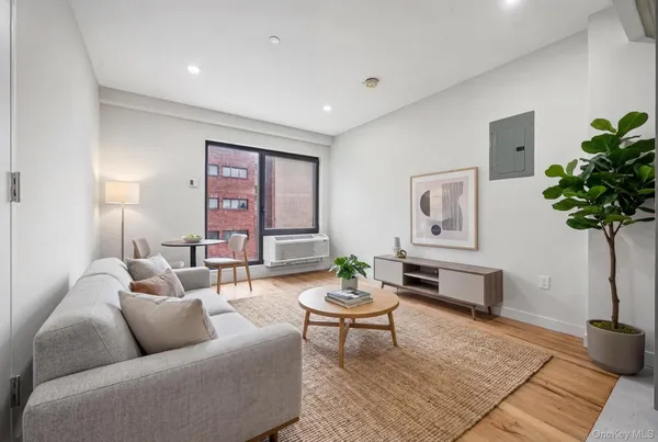 a living room with furniture and a potted plant