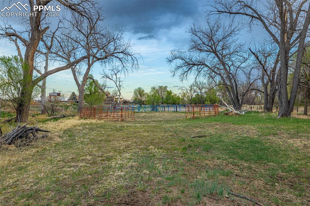 11960 Old Pueblo Road Fountain, CO 80817 - Photo 49 of 50 a view of outdoor space with trees