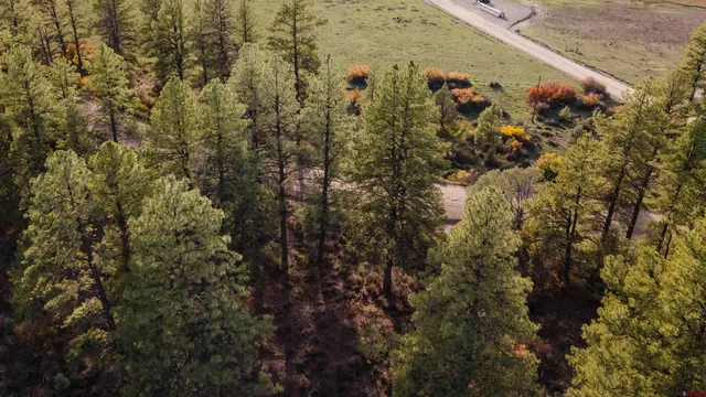 $89,000 | 244 Ute Drive, Pagosa Springs, CO 81147