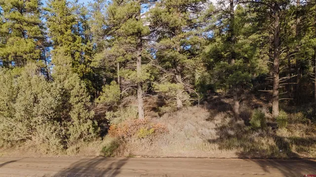 a view of a yard with a tree