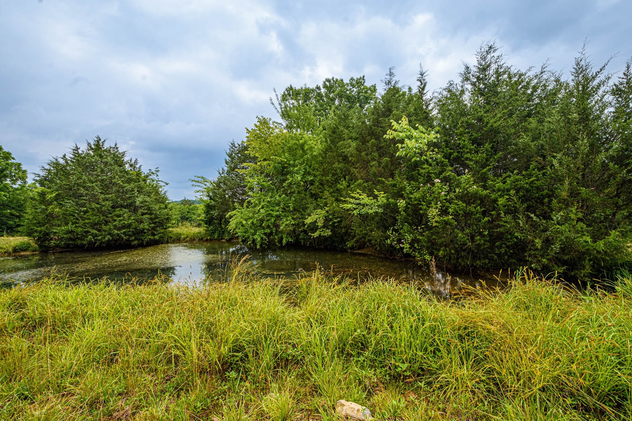 0 Prospect Road Pulaski, TN 38478 - Photo 2 of 12 a view of a lake view with a garden