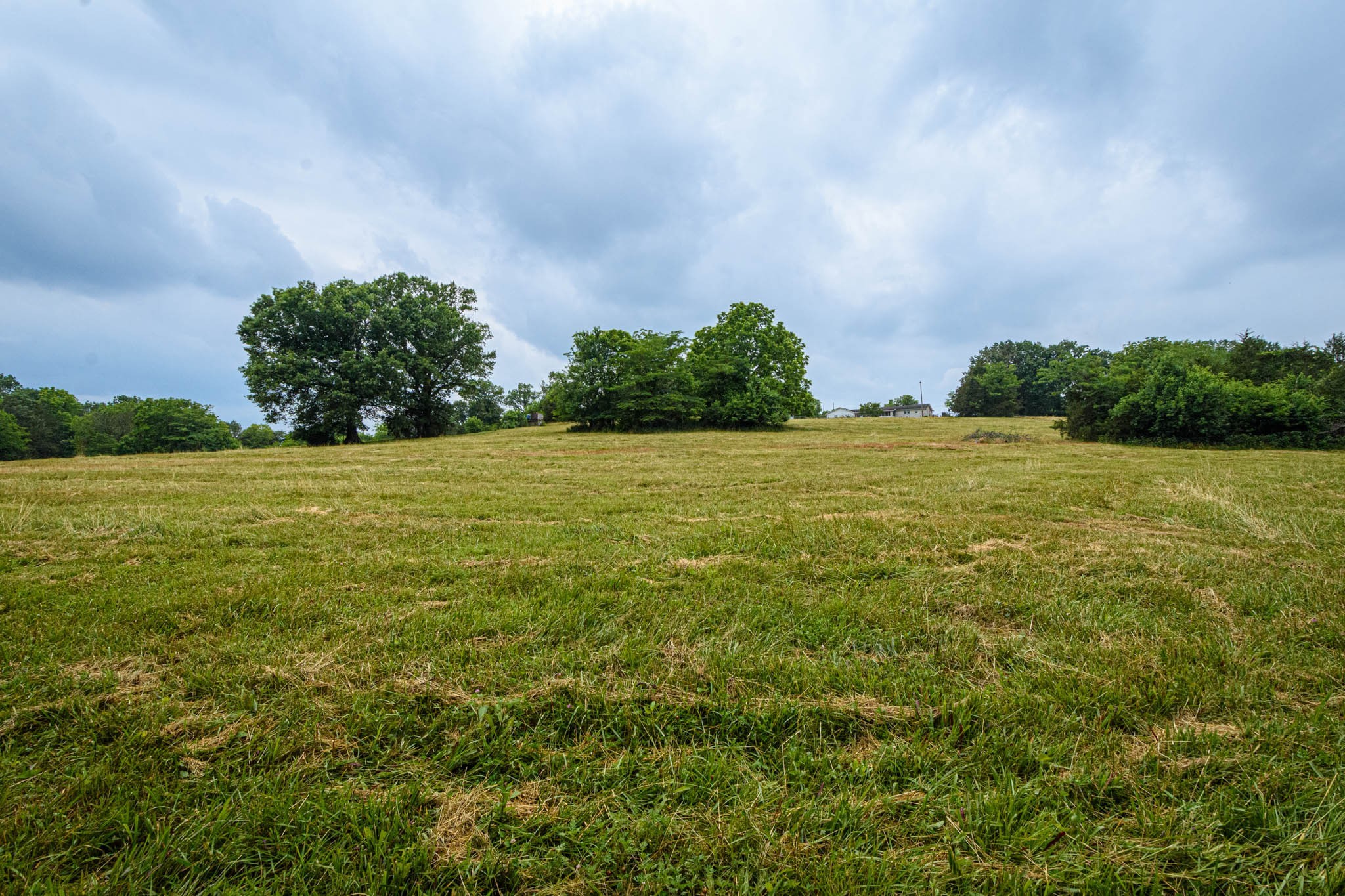 0 Prospect Road Pulaski, TN 38478 - Photo 4 of 12 a view of a field with an trees in the background