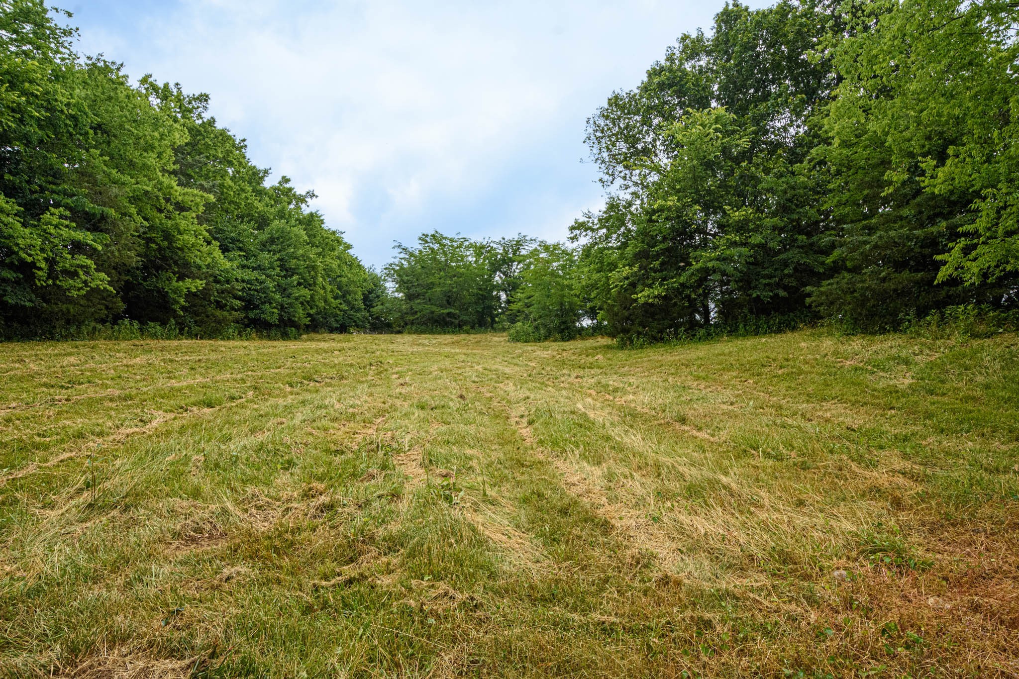 0 Prospect Road Pulaski, TN 38478 - Photo 5 of 12