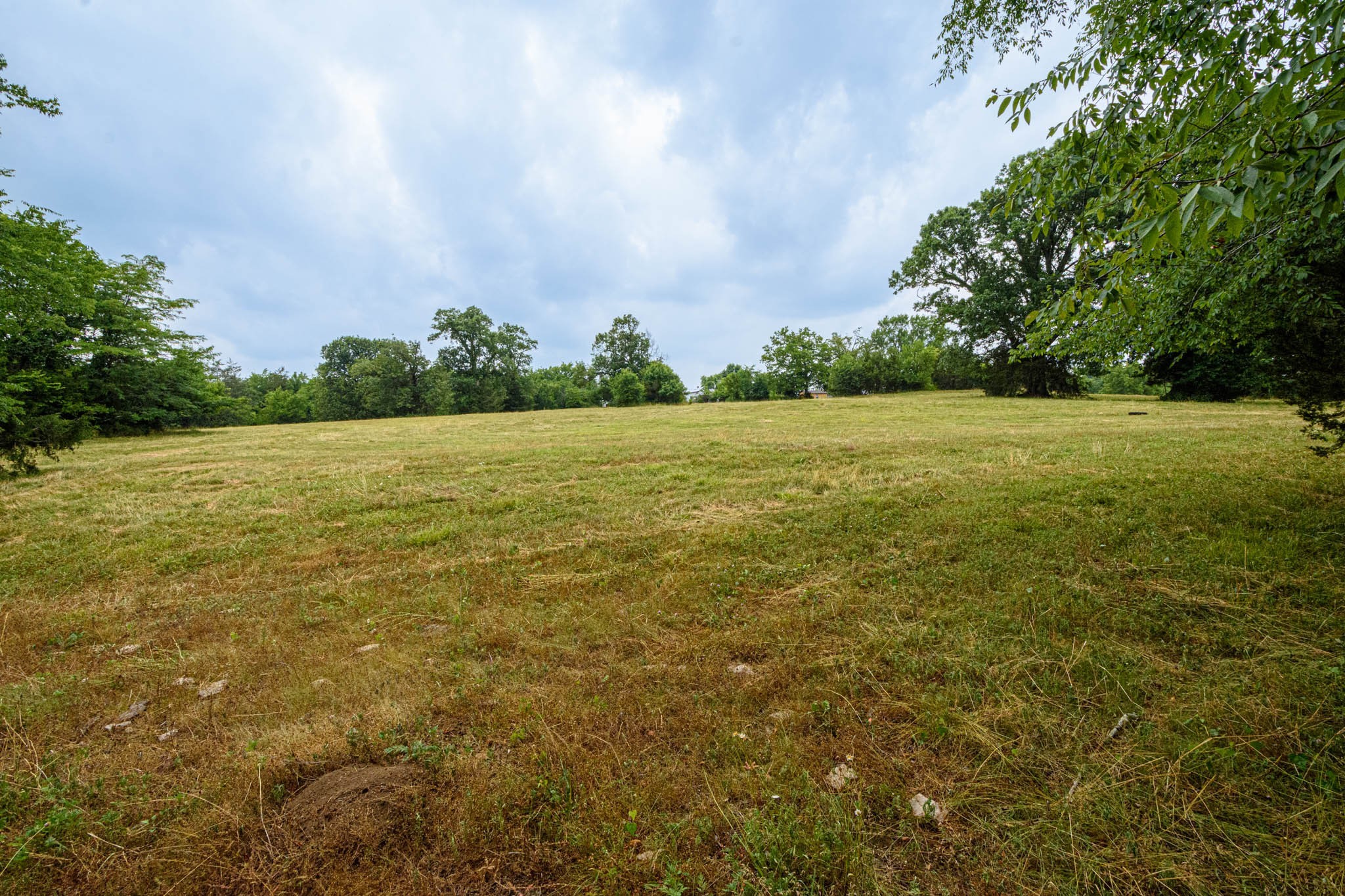 0 Prospect Road Pulaski, TN 38478 - Photo 6 of 12 a view of an ocean from a yard