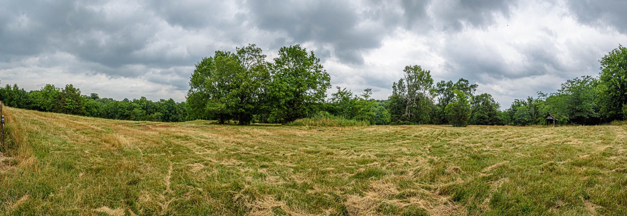 0 Prospect Road Pulaski, TN 38478 - Photo 7 of 12 a yard with a trees in the background
