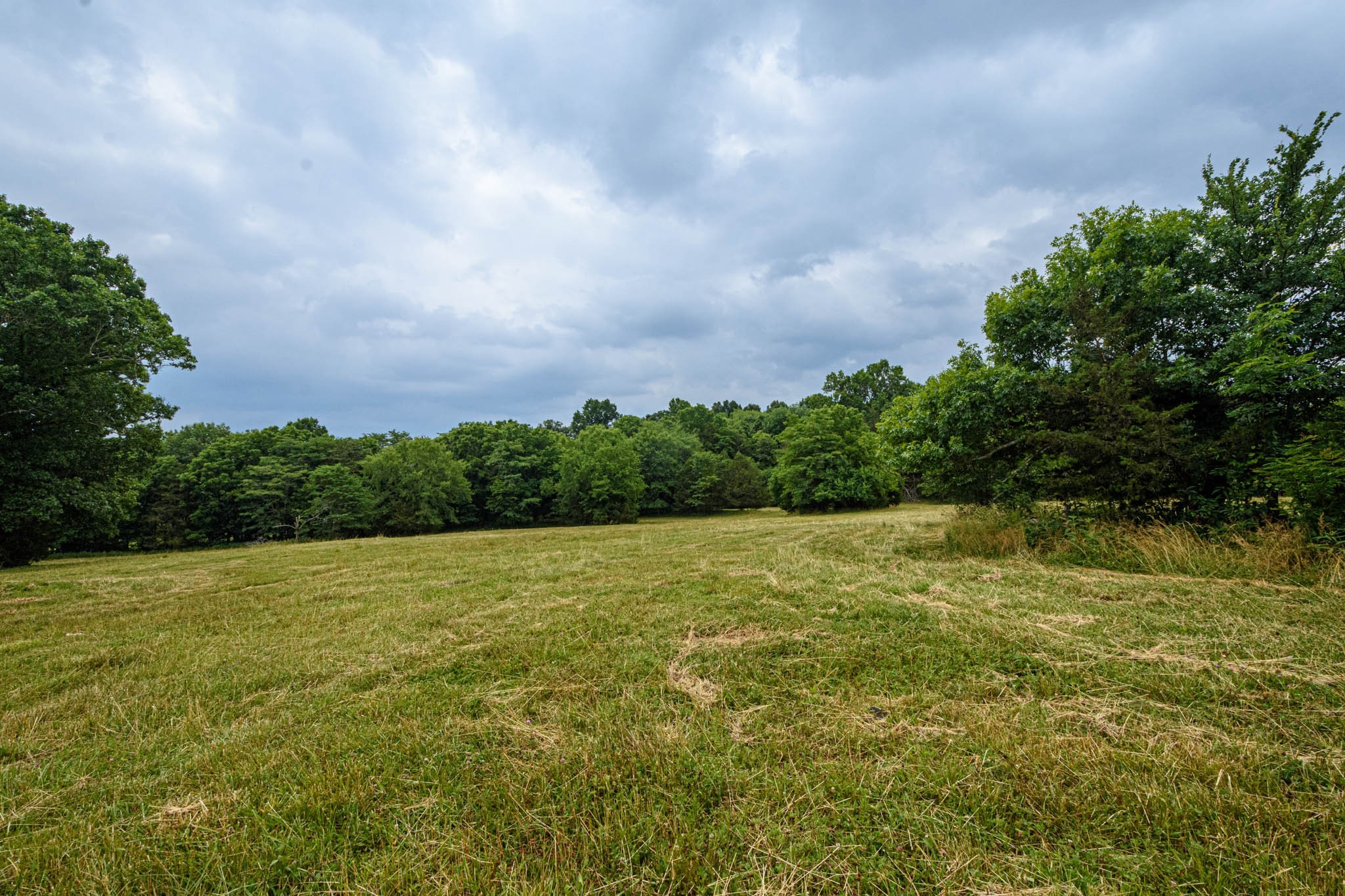 0 Prospect Road Pulaski, TN 38478 - Photo 10 of 12 a view of an ocean and beach